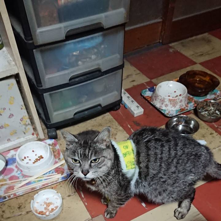 Abbc9795 90f8 4f61 b2a6 9f68c8b29e47 1586549278497