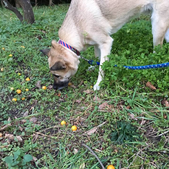 Abbc9977 ba2a 467a a5db 497dc530f1ba 1515494953650