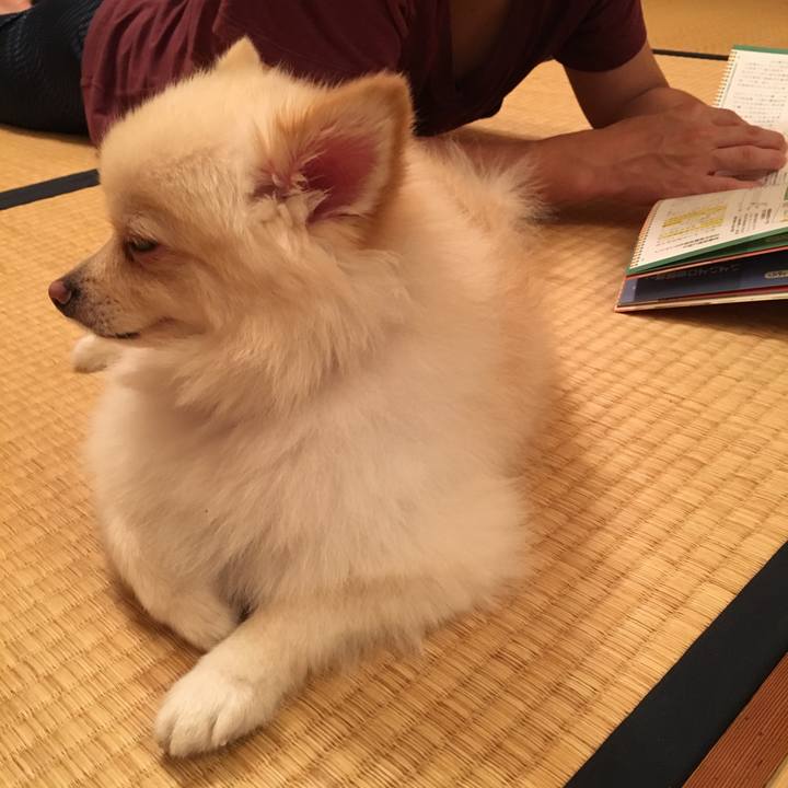 Abbcc5e4 5c88 4ba7 ba6b 781a8a4e66eb 1538997344315