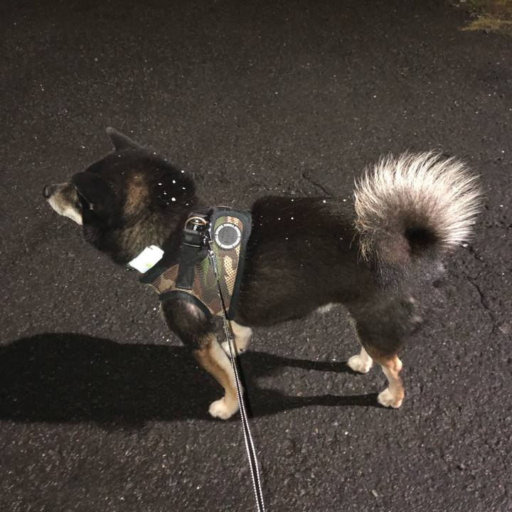 Abbccebd 7d3f 41f0 9365 ce92d9d2db56 1542665017907