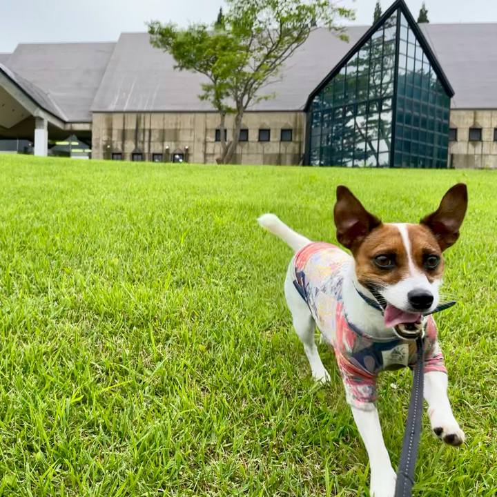 Abbcd830 f088 470b bcfb fd1b0be06791 1626854915939