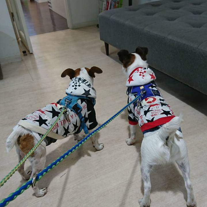 Abbd37fe d487 4a11 8a57 16884fd3dd3b 1614911346777