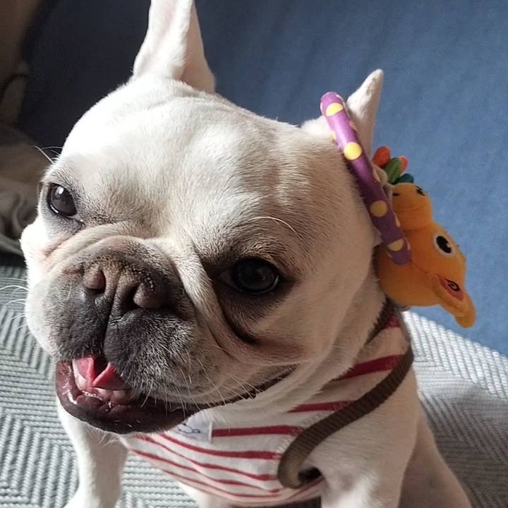 Abbd5fff 05fb 49f3 920d 1065abb15a71 1676846169020