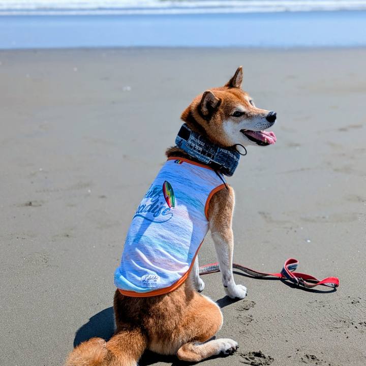 Abbd783e 2907 4195 bfe3 9430ea0db26f 1757419108278