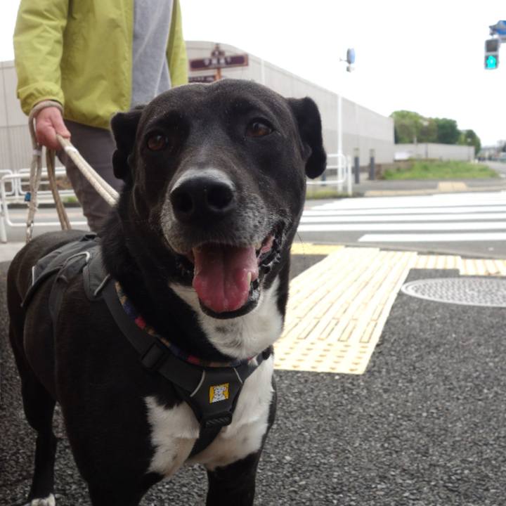 Abbd78bc 271f 42c4 ae22 e05778a2e3b5 1650155486232