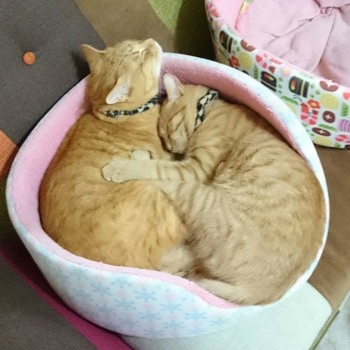 Abbd9d5b d45a 4385 ad97 1cea7cc5235f 1553522498171