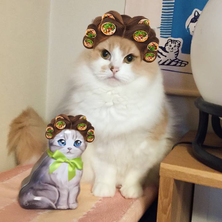 Abbdbf42 4aa1 4289 bee6 3c8a79e1117f 1563371379479