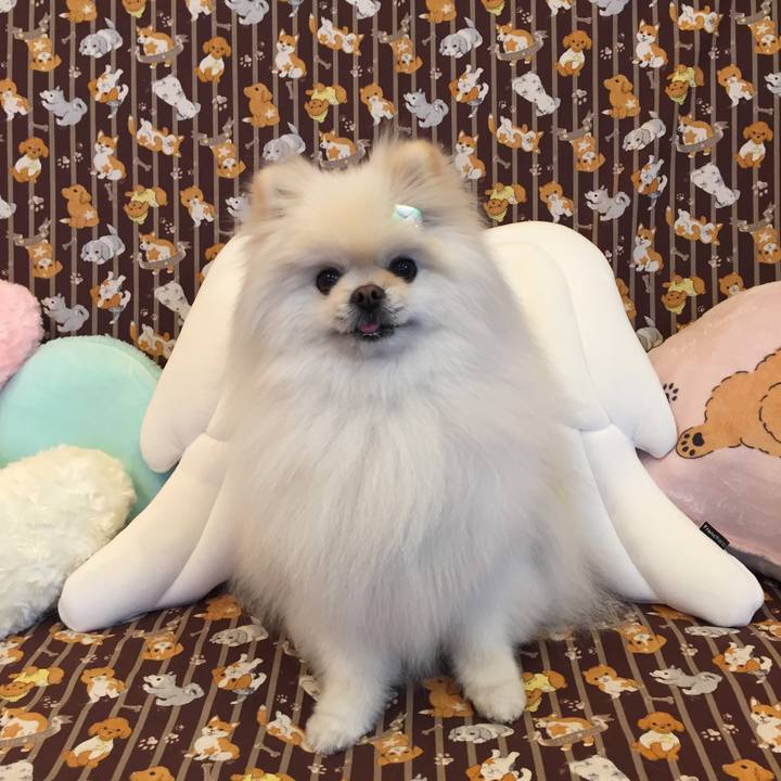 Abbe233c f2af 46e2 ab8a bdb34369f495 1615771880399