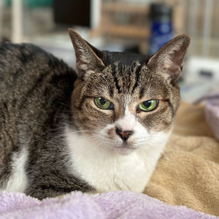 Abbe5632 6b65 4221 a51c c99dbe8bcf4a 1665368382388