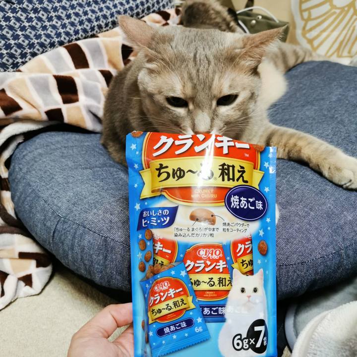 Abbe594d eb18 47e7 9db1 c11437d18ec2 1667312862322