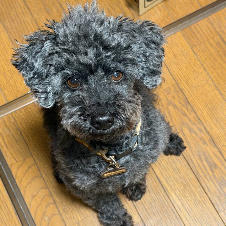 Abbe5a0e 0691 4002 8e5f d918ca3922e4 1768726092240