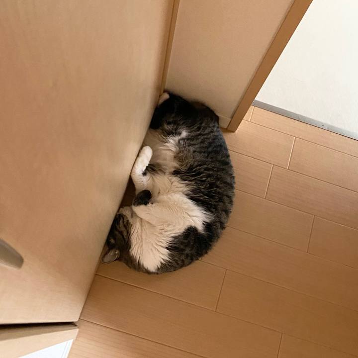 Abbe5d34 fbe9 4bd4 9b35 ce8c076b7b31 1658909616998