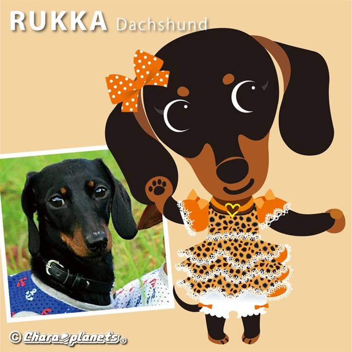 Abbeb523 ef5a 44a2 932b 768a37485e6a 1565743304445