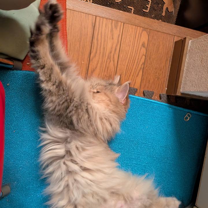 Abbeb55d 4663 4dc5 a407 f1cbf40efeea 1756735189178