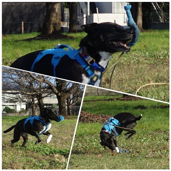 Abbec5e5 75ec 4675 9682 b31315366c1b 1635987310403