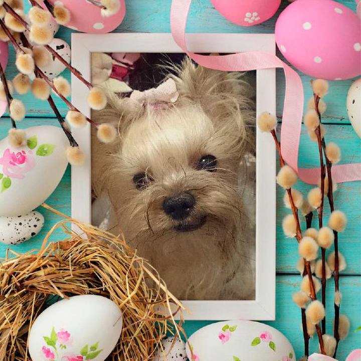 Abbec6a9 f600 41e3 81b8 bc1a1de20888 1745145909865