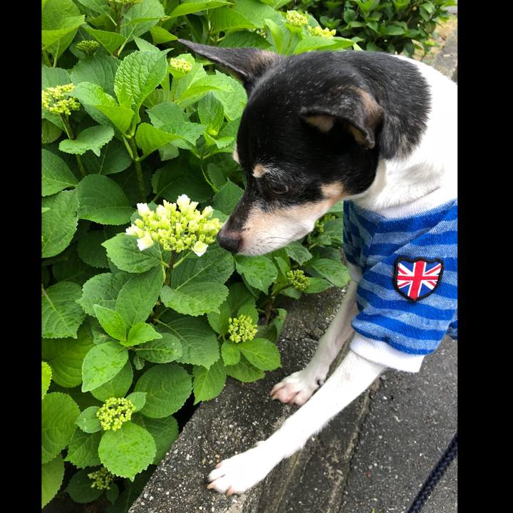 Abbed7b6 8475 478f b6f6 4994459f52ed 1526105691148