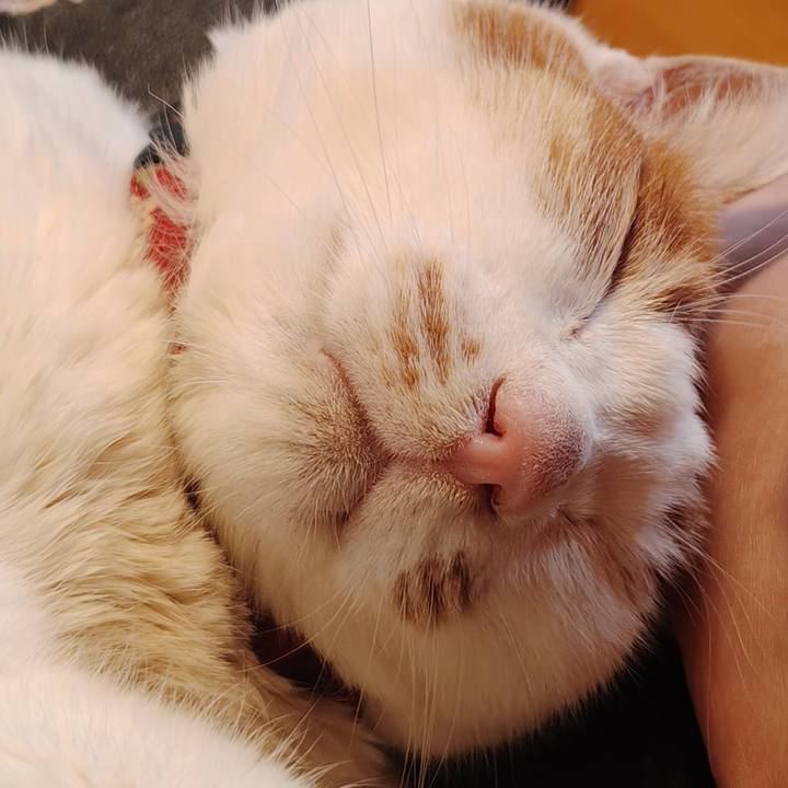 Abbed889 5b25 497e bf92 1f8ad6f73b58 1766723648594