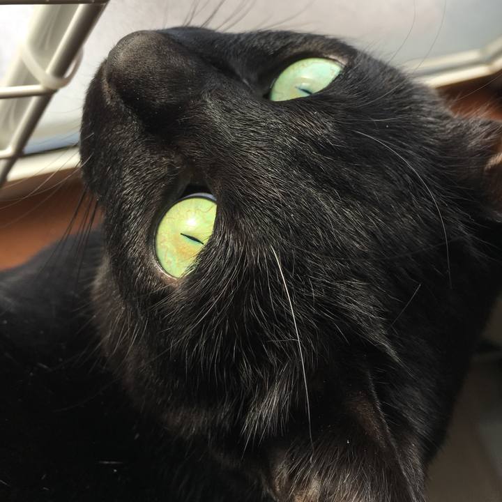 Abbee0c0 5649 46e1 9cf5 8cfda8dfdaef 1518413462160