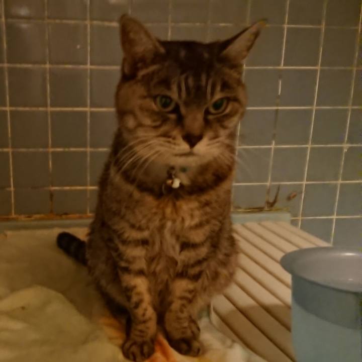 Abbeebe8 d2eb 45b7 af6b 8a1d8e07ce4c 1573551347735