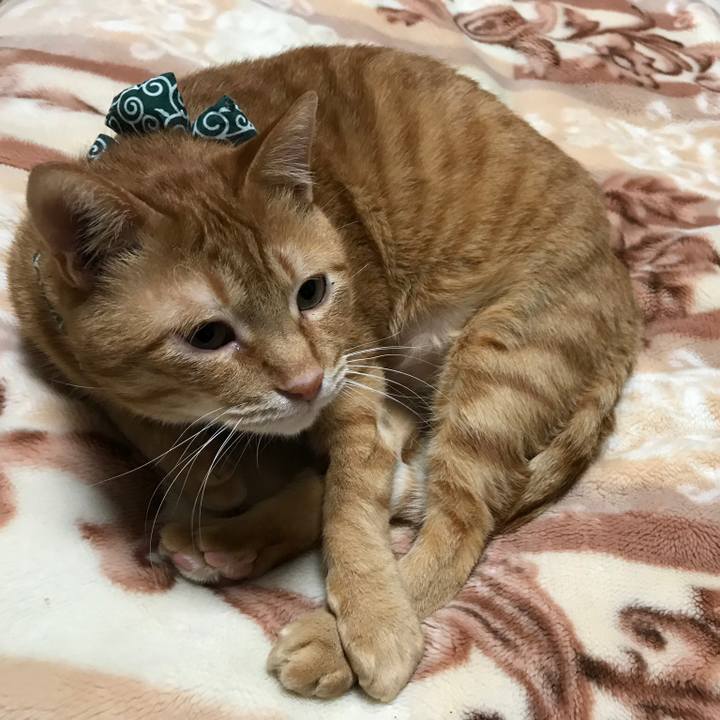 Abbf10f2 f208 480b 97a1 6a7ede2cd6d0 1561248944077