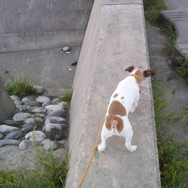 Abbf15dd cefa 4be4 8696 89ebd3c81c83 1509452984608