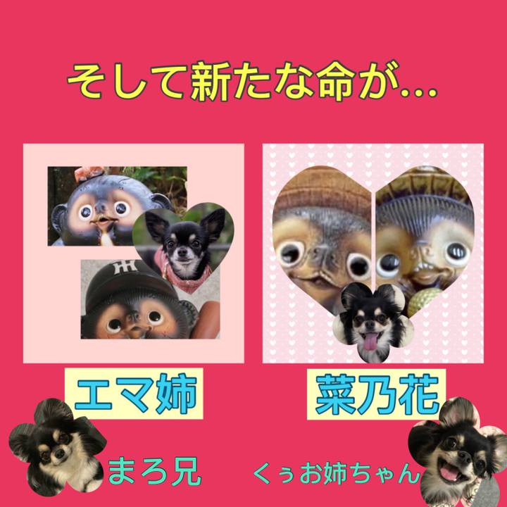 Abbf2559 b612 4ec2 b369 ffce9b279e41 1610161894597