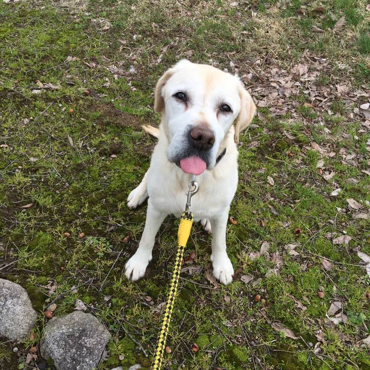 Abbf2652 4329 4d09 943e f4babcea79ff 1524375029042