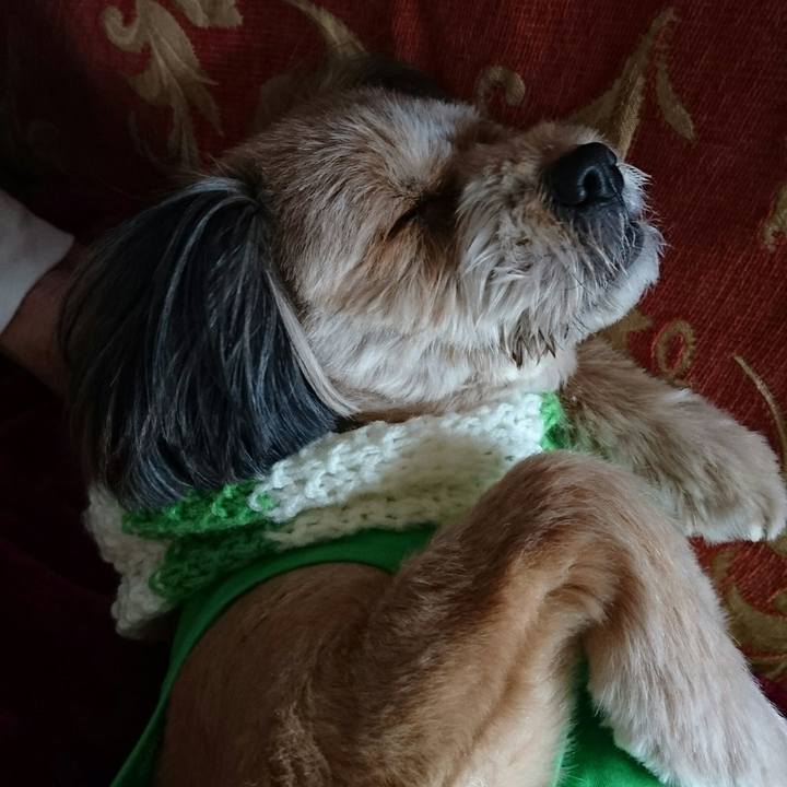 Abbf4b4c 2e26 4036 a18e fb630007790e 1514076941150