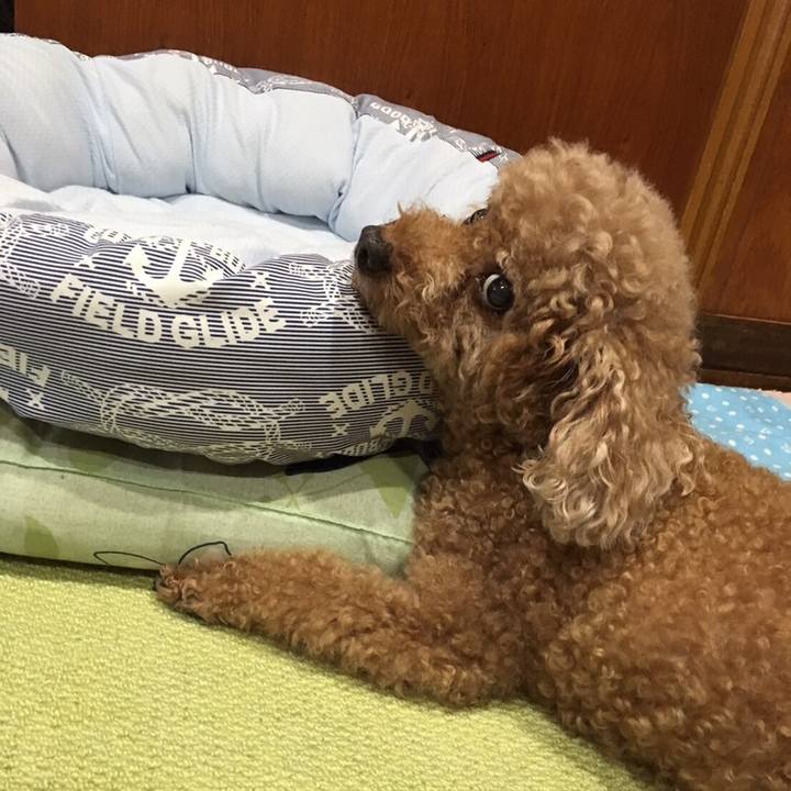 Abbf716f f923 4169 aa6c b3866a3abc46 1565182763320