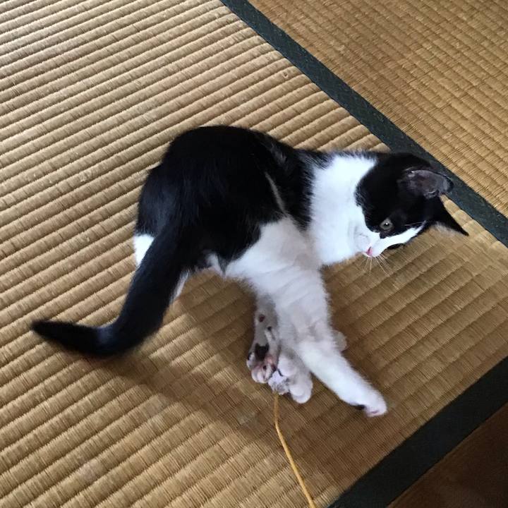 Abbf9af8 91b7 4438 9ad2 b182e8b90539 1625644014219