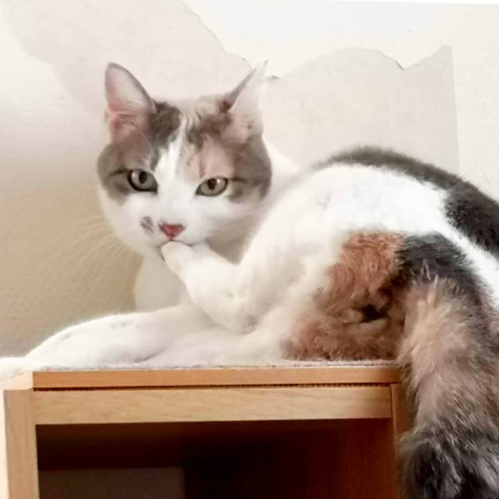 Abbfd0a4 a6f3 4b8e bd2c fb8d8e850472 1608632602614