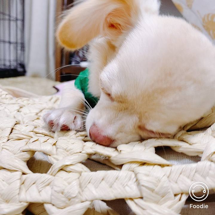 Abc00a15 6f56 4cad aae8 a9db3e638e01 1599271608208