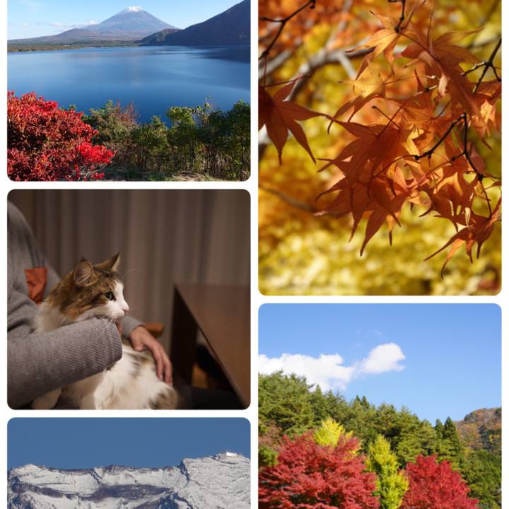 Abc00c47 21fa 4aa1 be40 27a505f1e41a 1604651147381