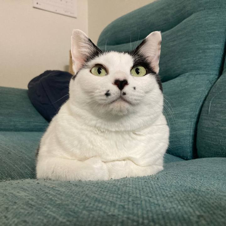 Abc01e81 efdf 463a 824a 0cab054d6609 1759736420396