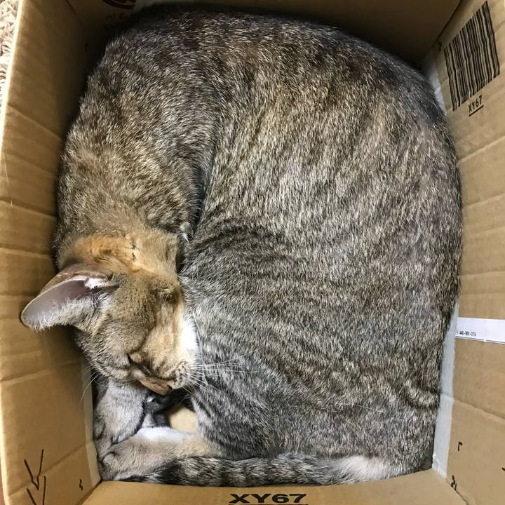 Abc033fe 1cb8 429c 8080 36739661abba 1592963638351