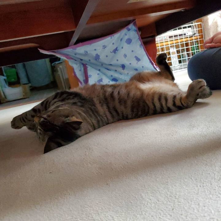 Abc05219 1e42 414c 9cbb c2dab3fbcac3 1704379996159