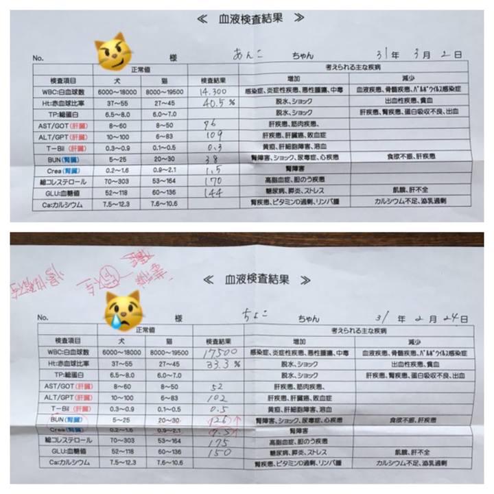 Abc08920 bbc6 4b68 8268 d63debe3a2fb 1551768697029