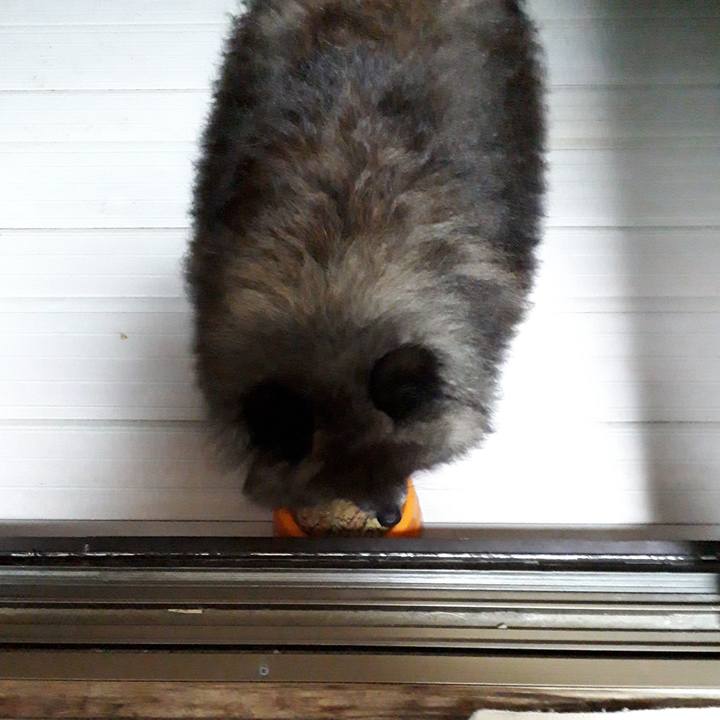 Abc08ff1 2c67 4bb0 ad9c 72731a54bf51 1521664095064