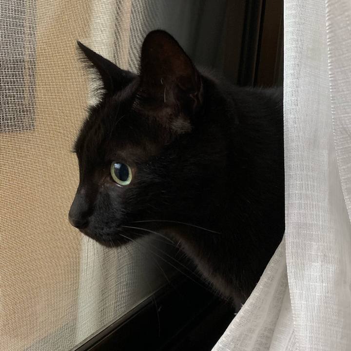 Abc098e8 849e 4671 aa45 df8ce67a4c76 1604279329505