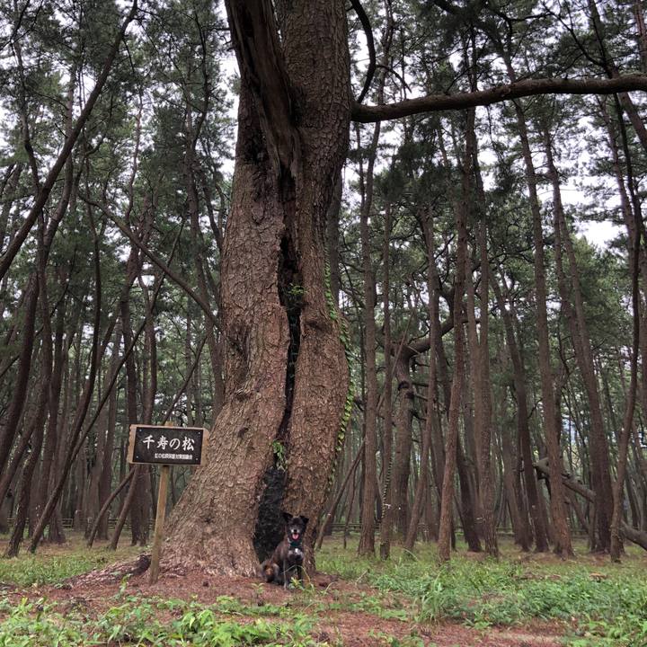 Abc099c0 608e 4ef9 9186 93001eddff6a 1566288861755