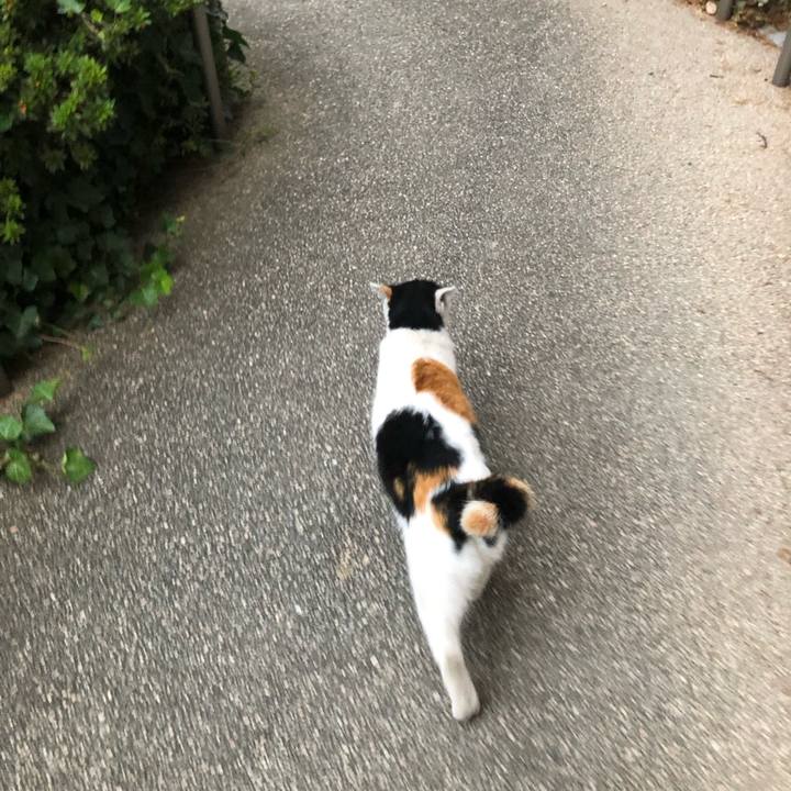 Abc15ef6 6ea9 4423 8ca2 64250afac4d1 1603836580219