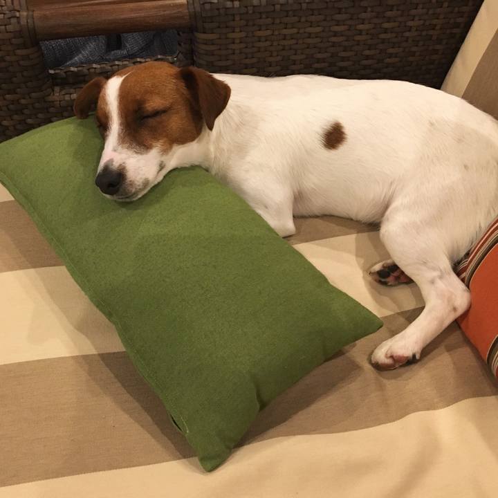 Abc165bd be1c 4bd0 857c 82ddeaa6efd0 1524479464928