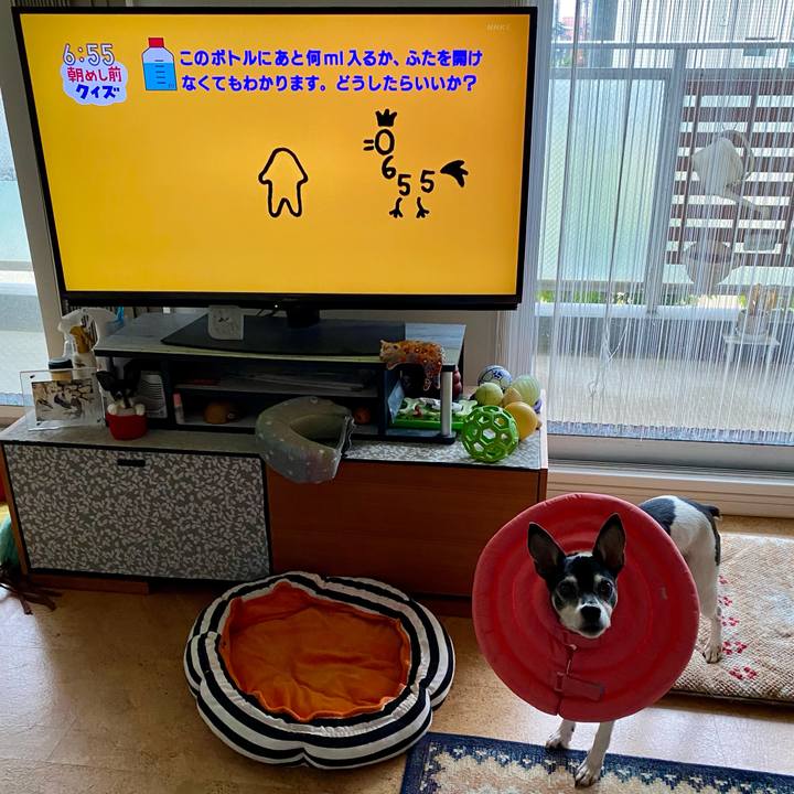 Abc17785 71b6 4a75 ae7a 0171126a7bed 1619564348224