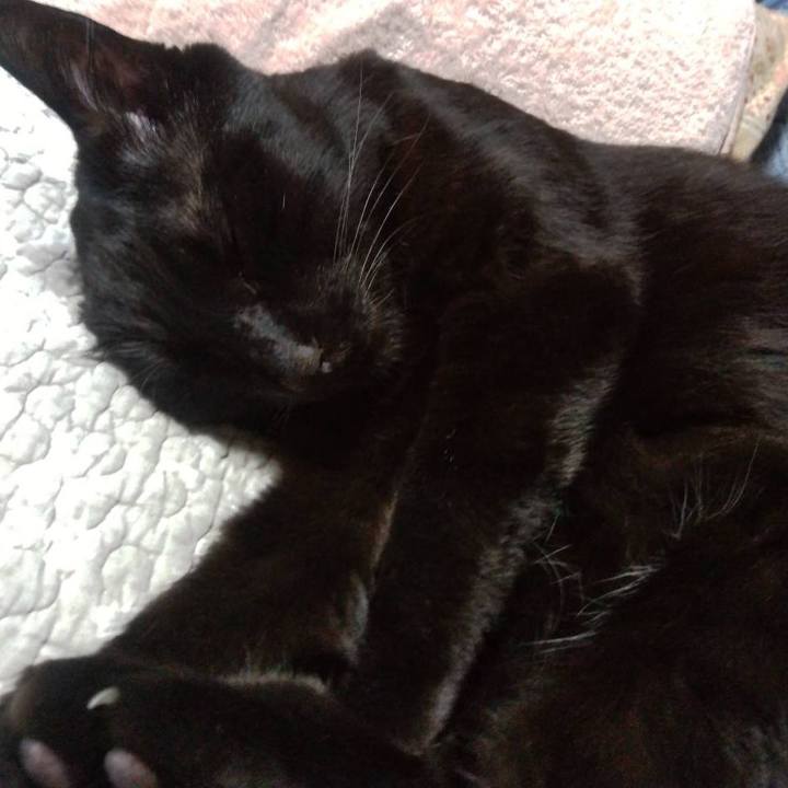 Abc1b889 f425 4823 8d95 ba972473bbd4 1660740271213