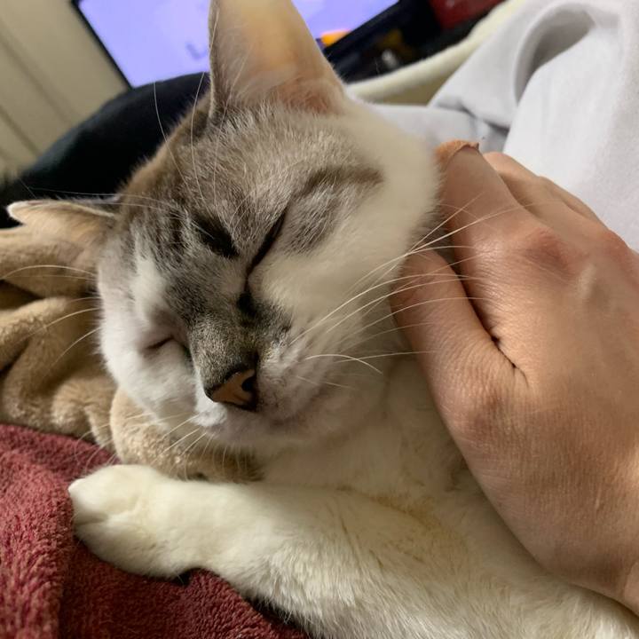 Abc1e9e5 4577 4212 9e8c f40fe8edfbf9 1612690972952