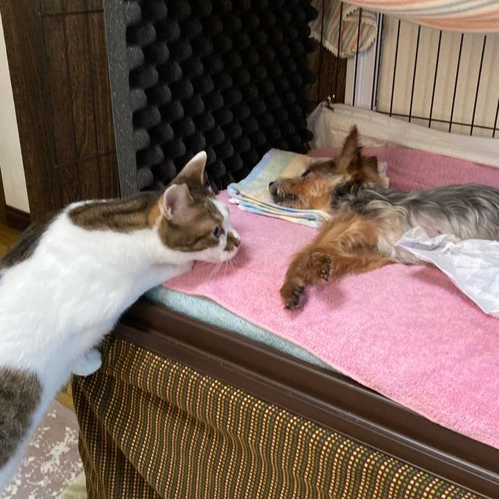 Abc1f8b2 f04d 46dd a5a8 a6aa9a93b11e 1691059435669