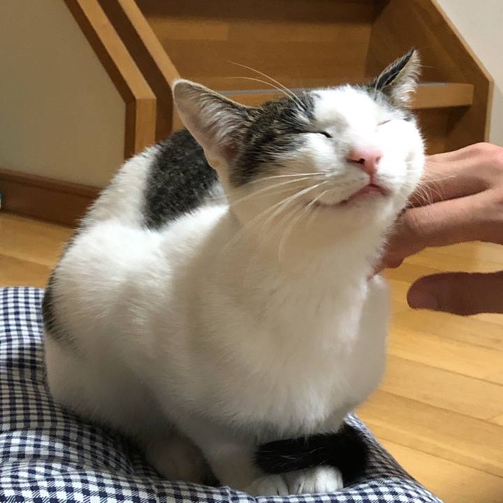 Abc212f3 67f2 41a2 911a b7b76b3827f4 1578398313691