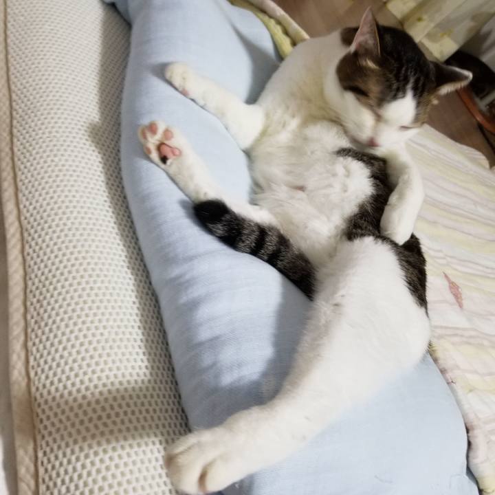 Abc21881 e5fe 40cc a7cf 1f4d9be716a7 1602247266094