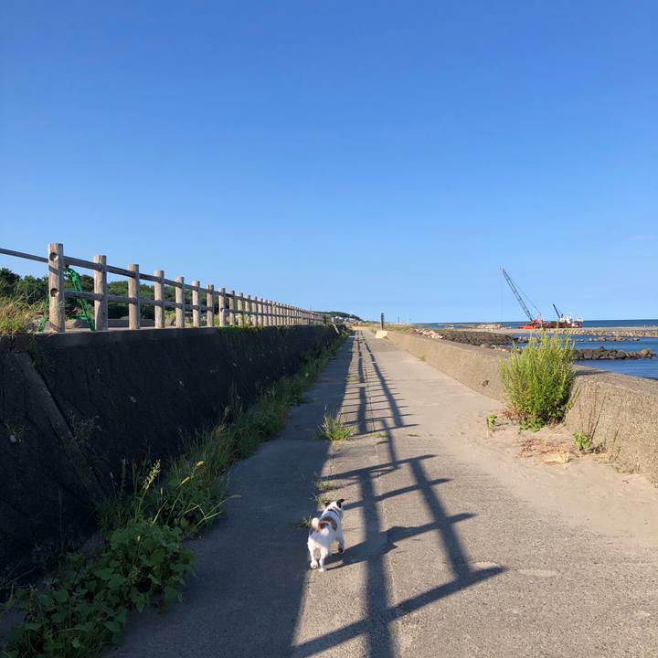 Abc237e7 ccd9 4b8c a758 7d44f2778907 1598999655145